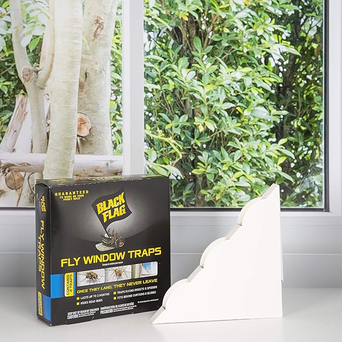 Black Flag Fly Window Traps, 4 Count (Pack of 12)