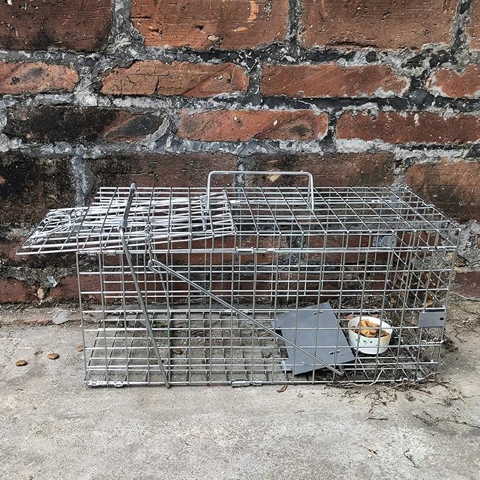Gingbau Foldable Squirrel Trap Heavy Duty Humane Live Animal Cage Trap - 17.3” x 7.4” x 8.2”