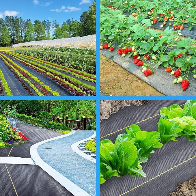 3ft x50ft Black Weed Barrier Landscape Premium Fabric-Heavy Duty Woven Ground Cloth with Superior Permeability Weed Control Convenient Design