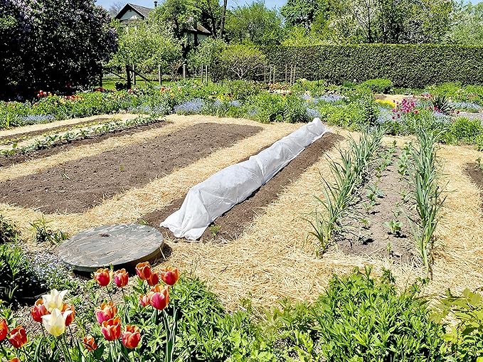 Blue Mountain Hay | Organic Garden Straw (5 lb) | Natural Mulch for Gardening, Flower Beds, Yard Landscaping, New Lawn Grass Seeding, Composting | Covers up to 75 sq ft