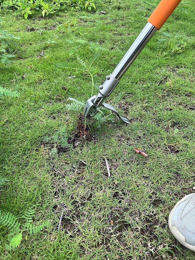 YYMIYU 52" Stand Up Weed Puller Tool β 4-Claw Stainless Steel Weeder with Grass-Pushing & Weed-Ejection Design β Heavy-Duty 0.8mm Steel Handle for Effortless Root Removal