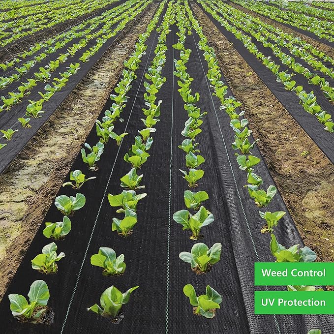 Weed Barrier Fabric 3.2oz Heavy Duty - 4ft x 300ft Landscape Fabric | Easy Install & Rugged Plastic Ground Cover Weed Barrier with UV Protection for Gardens, Landscaping Fabric