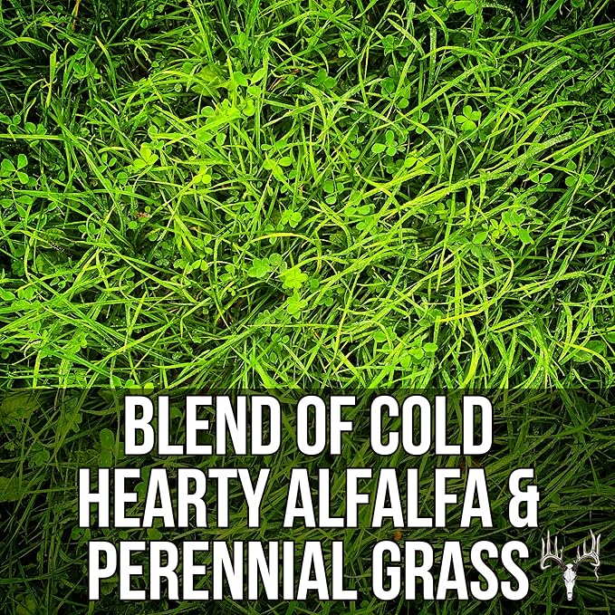 Memas Moo Mix, 25LB Bulk, Farm Pasture Seed Blend for Horse, Cattle, Pig, Goat, Chicken, Duck, Sheep & Livestock, Grow Alfalfa & Perennial Grasses Fields, Graze Resistant, Cold Tolerant