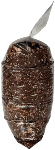 rePotme Peace Lily Imperial Houseplant Soil - Mini Bag (2 Quarts)