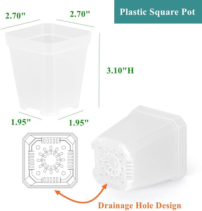 BangQiao 60 Pack Small 2.70 Inch Plastic Square Nursery Pot, Plant Starting and Transplant Planter Container with Drainage Hole for Seed Germination, Clear
