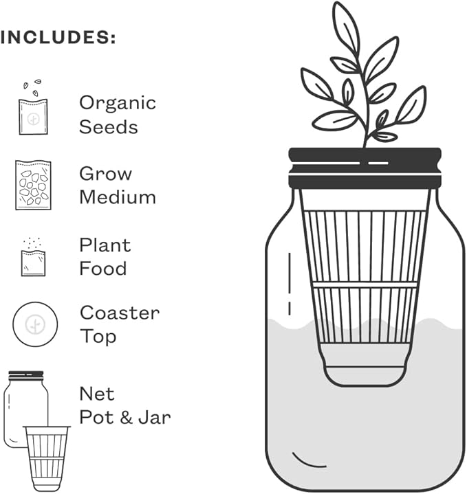 Modern Sprout Mason Garden Jar - Self-Watering Hydroponics Growing System Kit with Organic Herb Seeds - Jar Planter for Indoor Herb Garden - Seed Starter Kit - Home Decor & Gifting - Basil+Parsley