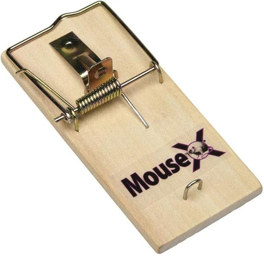 MouseX Wood Traps (Pack of 48) for Rats, Mice & Rodents. EcoClear Products 620306