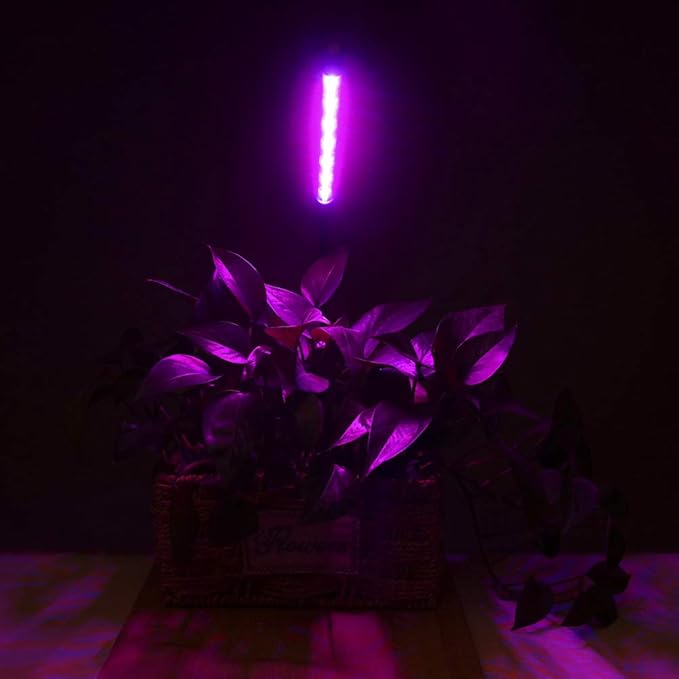 LED Grow Lights for Indoor Plants 20 LED, Plant Growing Lights Full Spectrum Auto ON Off with 3/9/12H Timer, 9 Dimmable Lightness Clip-On Desk Grow Lamp Bulb