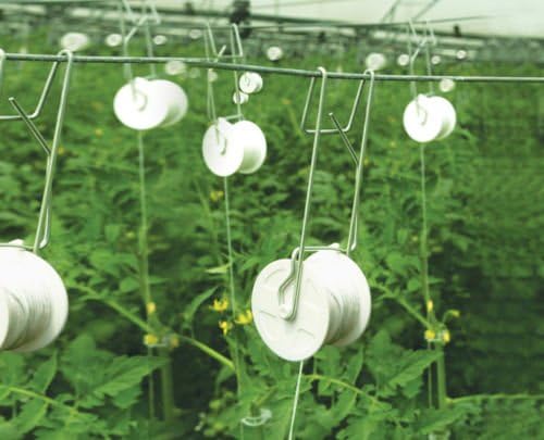 growbiggerplants RollerHook Tomato and Vine Crop Trellis, Metal (50 Pack) - EBook Included