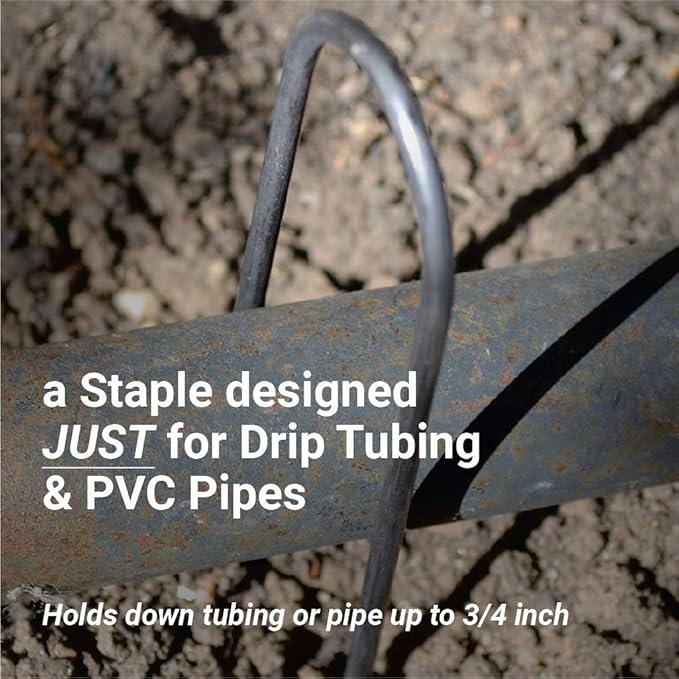 Sandbaggy Round Top 6-Inch Landscape Staples ~ SOD Garden Stakes Square Pin for Ground Cover Fabric & Drip Irrigation Tubing (100 Staples)