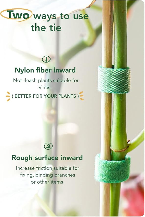 LE TAUCI Plant Ties, Garden Tape for Plant, Reusable Adjustable Thicker Support for Growing, Strong Grip, Tomato Vines Indoor Outdoor, 100 ft (2 roll 50ft) x 0.47 Inch, Green