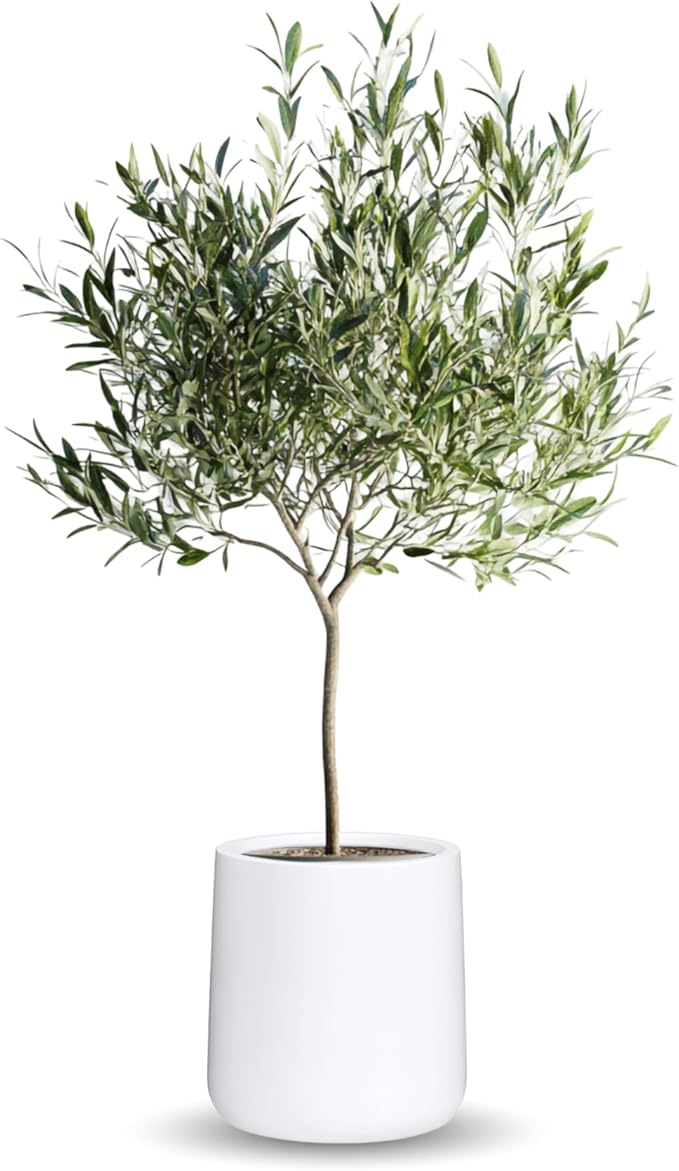 13" H x 12.6" D Conico Fiberstone Round Planter with Drainage Hole, Smooth Finishes, Weather Resistant for Indoor and Outdoor Use, Included 2 Extra Coco Mats (White, 10" Pot Opening)