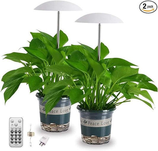 LED Grow Lights for Indoor Plants 2 Pack, Smart Full Spectrum USB Small Plant Lights with Remote, Height Adjustable, Auto On/Off Timer, Ideal for Home Decoration
