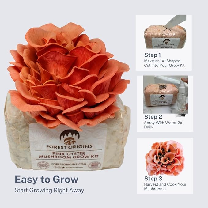Pink Oyster Mushroom Grow Kit, Beginner Friendly & Easy to Use, Grows in 10 Days | Handmade in California, USA | Top Gardening Gift, Holiday Gift & Unique Gift