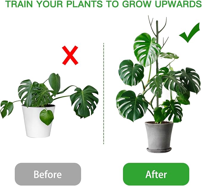 Plant Support Stakes Set 6 Pack 28.5" Detachable Twig Monstera Plant Support Sticks with Dragonfly Clips Orchid Clips, Stackable Green Branch Trellis for Climbing Potted Plants Indoor Outdoor