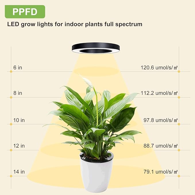 Full Spectrum Grow Light for Indoor Plants, 144 LEDs Halo Plant Light with Auto On/Off Timer (4/8/12H), 10-Level Brightness, 3 Lighting Modes, for Small Plants & Seedlings (Black, Dual Head)