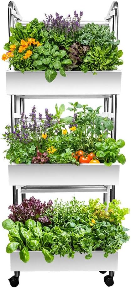 Hydroponics Growing System Plant Germination Kits Hydrophonic Planter for Indoor Garden Vegetable Herb Microgreens Growing Aerogarden Gardening 6 Large Pods(≈ 5X Small Pods)