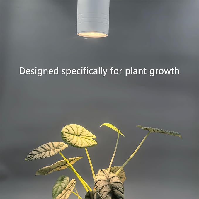 Hanging Plant Grow Light Full Spectrum Warm White Color with Timer Ceiling Decorative Grow Lamp for Indoor Plants