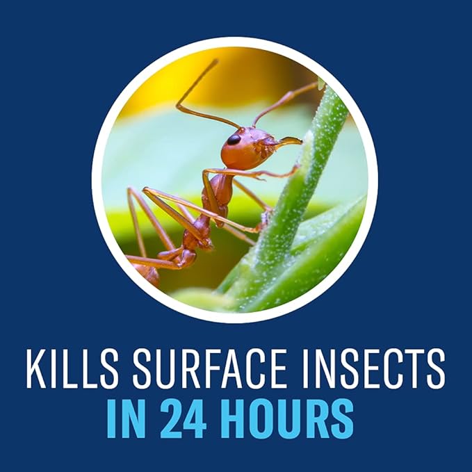 BioAdvanced Complete Brand Insect Killer for Soil and Turf, Ready-to-Spray, 32 oz, Outdoor Ant Killer
