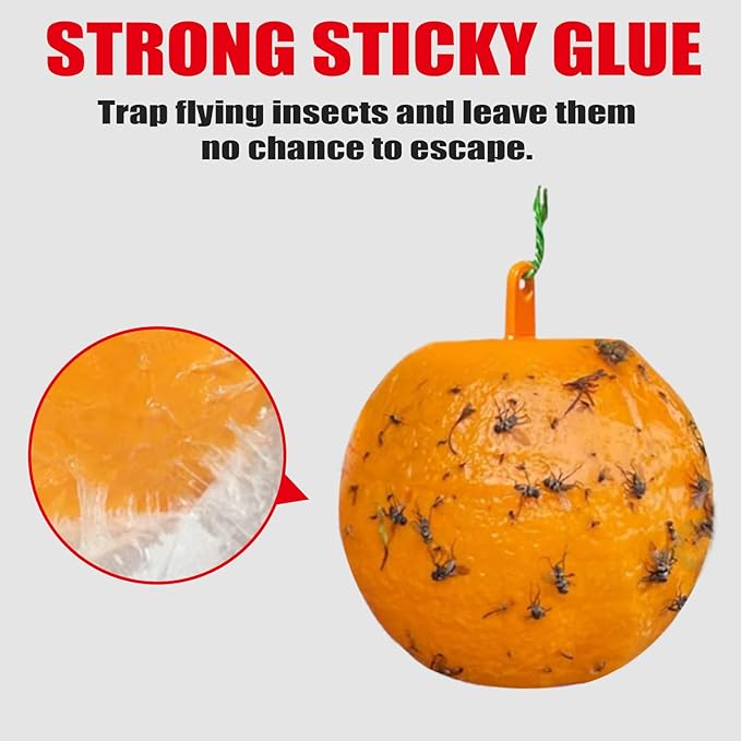 Hanging Fly Sticky Ball Fly Trap Outdoor, 6 PCS Fruit Fly Traps Ball, Hanging Sticky Bugs Gnat Ball for Indoor Garden Plants Trees Flies Gnat Wasp Bugs