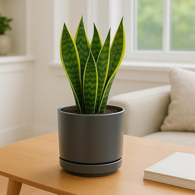 Ceramic Mid Modern Planter Pots with Detached Saucer - Indoor/Outdoor Plant Pots with Drainage Hole