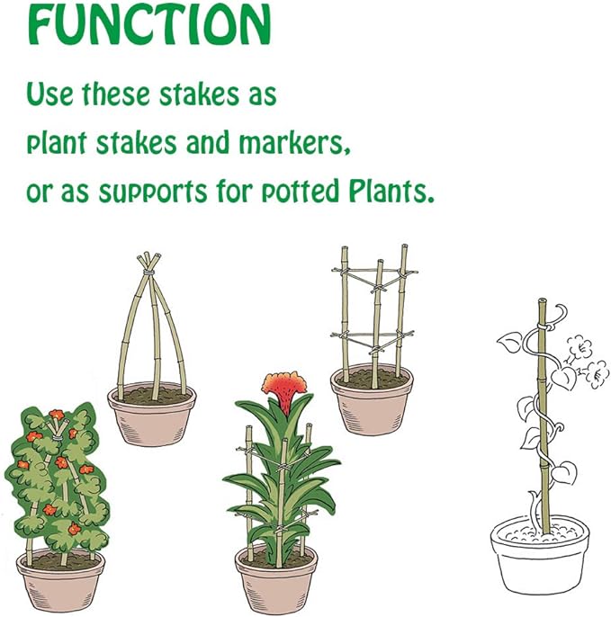 Mininfa Natural Bamboo Stakes 3 Feet, Eco-Friendly Garden Stakes, Plant Stakes Supports Climbing for Tomatoes, Trees, Beans, 25 Pack