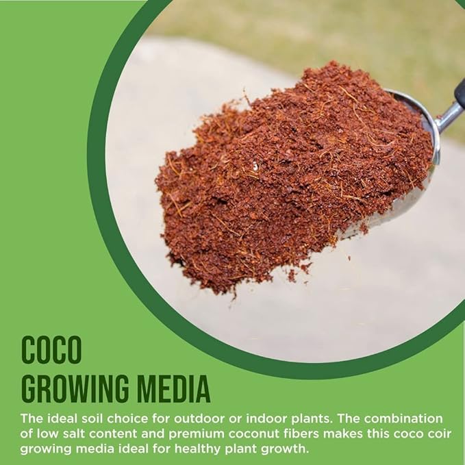Coco Coir Husk Chips 4-Pack – 2.4 Cu. Ft. Compressed Coconut Coir Bricks, 10 lb. Natural Substrate for Indoor & Outdoor Use, Orchid Bark Alternative, Orchid Potting Mix, Indoor Plant Soil
