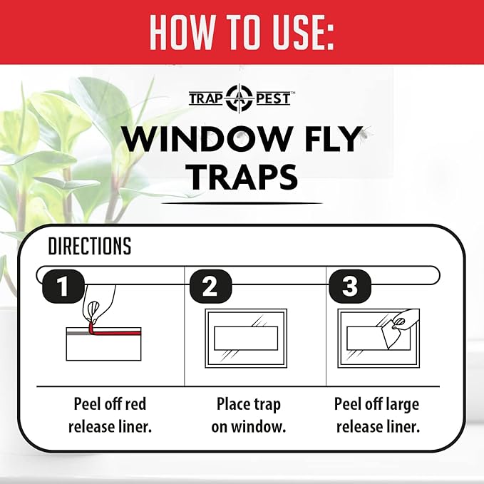 Window Fly Traps Indoor Clear (30 Pack) - Fly Window Traps for Indoors Sticky, Indoor Fly Trap Non-Toxic Fly Strips for Windows - Fly Sticky Traps Indoor Fly Paper Indoor Bug Sticky Traps (8.25" x 5")