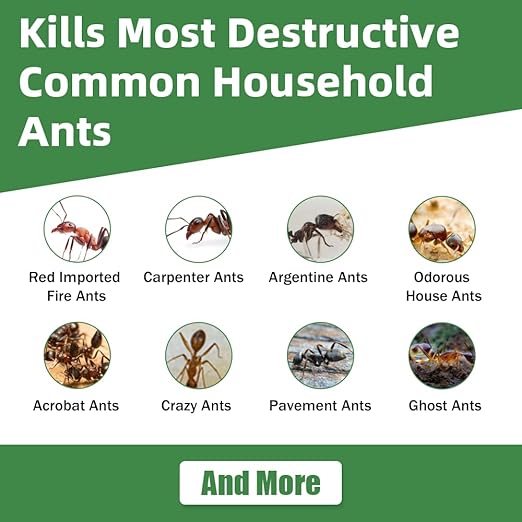 64 PCS Ant Killer Gel Bait Stations, Extra Strengthen Ant Bait Traps, Long-Lasting Effective Pest Gel for Carpenter Ants and Other Common Household Ants, No Mess Easy Use, Safe for Pets and Kids