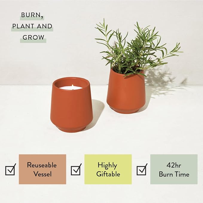 Modern Sprout Rooted Candle - 2 in 1 Cucumber Scented & Soy Candle with Seeds That Grows into Rosemary Plant - 6 oz w/ 42 Hr Burn Time in Matte Glaze Ceramic Vessel Ideal for Indoor Herb Garden