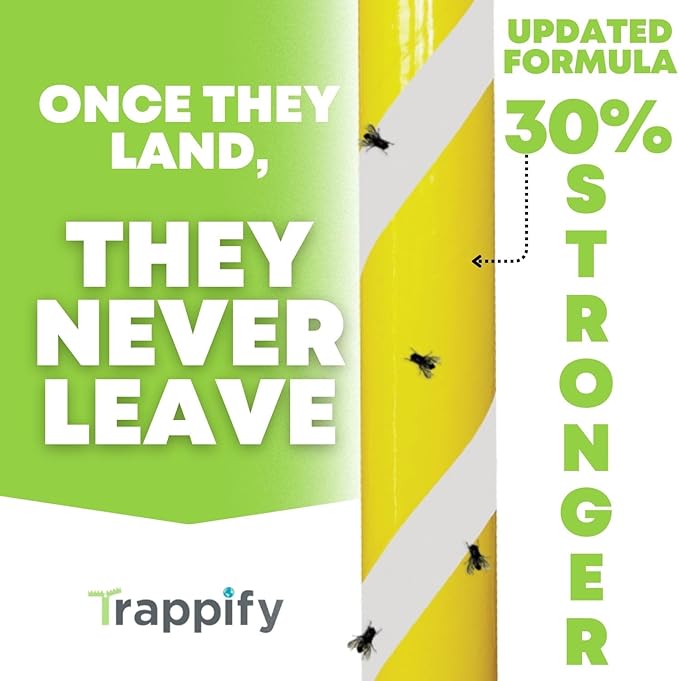 Glow-in-The-Dark Fly Stick by Trappify: Premium Indoor & Outdoor Fly Traps | Water-Resistant Sticky Trap for Fruit Fly Traps for Indoors, Gnat Traps for House Indoor, and Fly Trap Indoor (2 Pack)