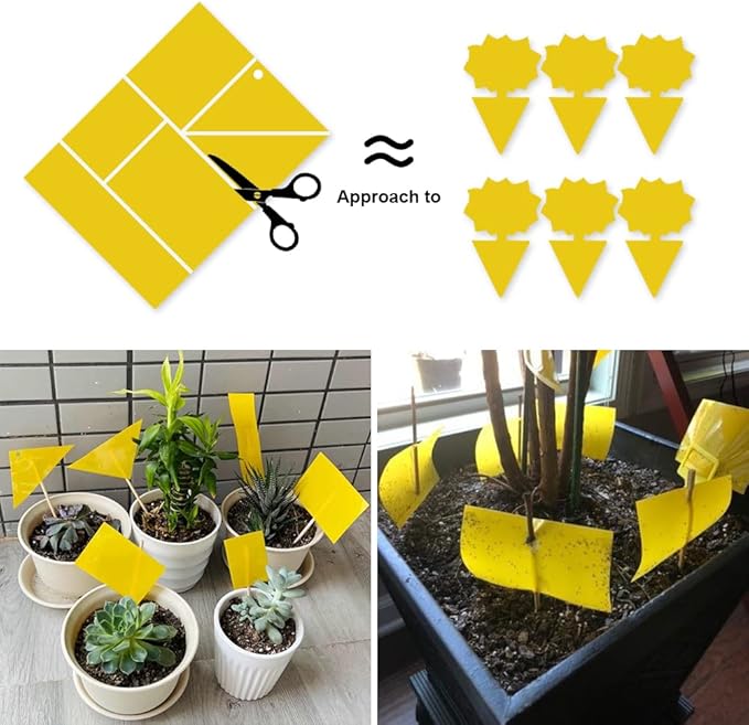Kensizer 10-Pack Fruit Fly Trap, Yellow Sticky Gnat Trap Killer for Indoor/Outdoor Flying Plant Insect Like Fungus Gnat, Whiteflies, Aphids, Leaf Miners - 6x8 in, Twist Ties Included