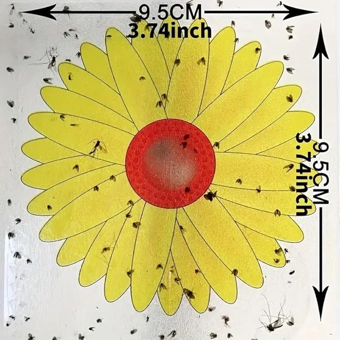Window Fly Trap Fruit Fly Trap Indoor | Catch & Kill Houseflies, Flying Insects & Bugs | Non-Toxic Sticky Glue Traps | Beautiful Sunflower Design not only as a Fly Trap but Also a Decoration 20 Pack