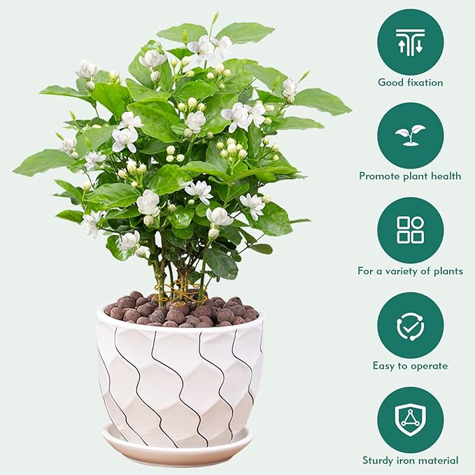 Kerros Monstera Plant Support 5 Pack, Plant Stem Support Metal Plant Stabilizer for Indoor Plants Stem Stabilizer Growth Accessories, Gold