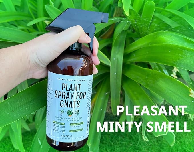 Kate's Garden Plant Spray for Insects & Getting Rid of Gnats. Fungus Gnat Killer & Bug Spray for Indoor Plants (16oz, Pet Safe, Non Toxic)