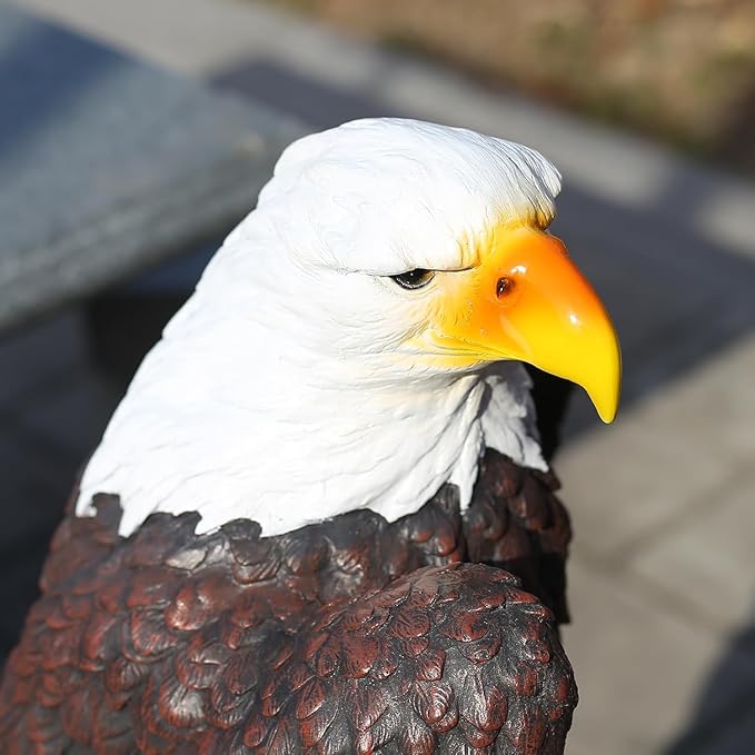 H:23.2in Outdoor Great Eagle Sculpture Garden Decoration Hand-Painted Bald Eagle Decoration - Bald Eagle Statue, Majestic American Indoor/Outdoor American Office, Courtyard Decoration