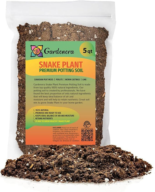 RA Premium Snake Plant Potting Soil Mix, Green Sansevieria Trifascatia Zeylanica Plants, Plant or Re-Pot Your Snake Plant - (5 Quart Bag), (SNAKE-PLANT-5QT)