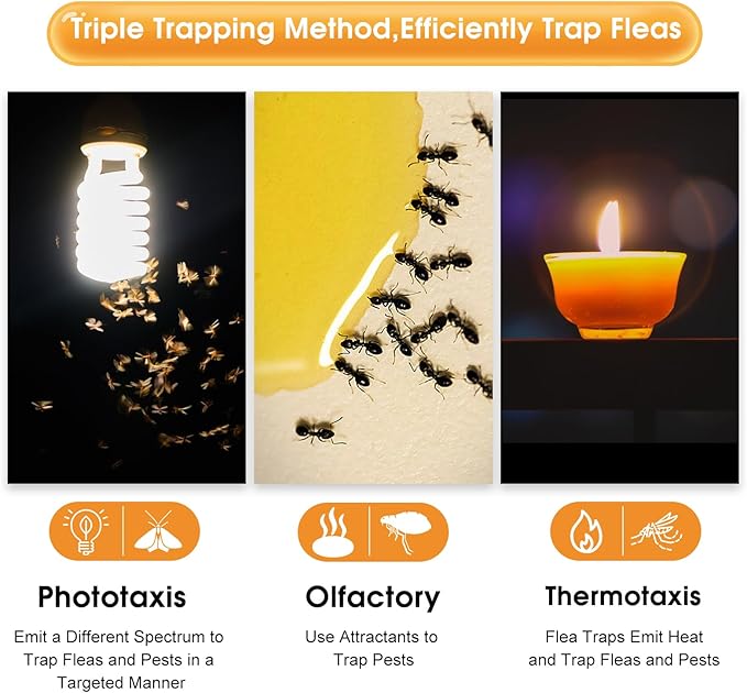 Flea Trap Refill Discs Sticky Trap- Glue Board Refills 12 Packs- 7.1 Inch Natural Glue Discs Refills Board Replacement Pads- Fits Most of Flea Traps