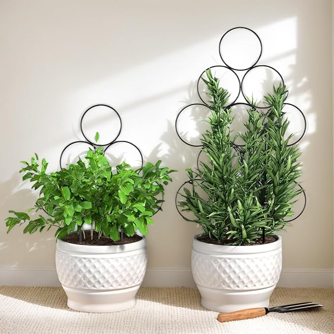 Stackable Metal Trellis for Potted Plants, 8 Packs 15.7 Inch Small Garden Trellis for Climbing Plants Indoor, Pothos Plant Climber Support Indoor Plant Support Stakes, Black