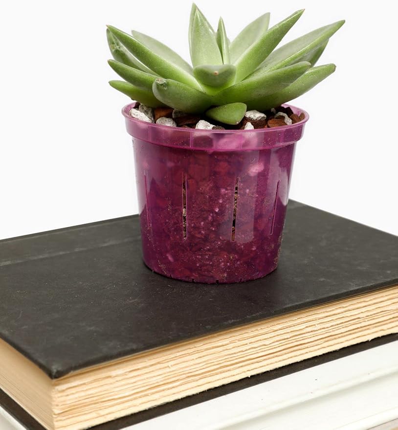 rePotme Cactus and Succulent Soil Mix, Classic Blend (Mini Bag)