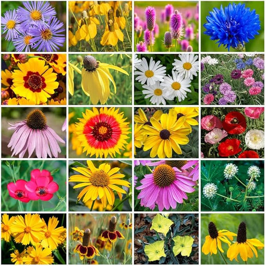 Park Seed Grow Your Own Vibrant Annual and Perennial Wildflower Garden Seeds Mixture, Easy to Grow Varieties for Pollinators and Spring Gardens - Midwest Regional Mix, 10 lbs