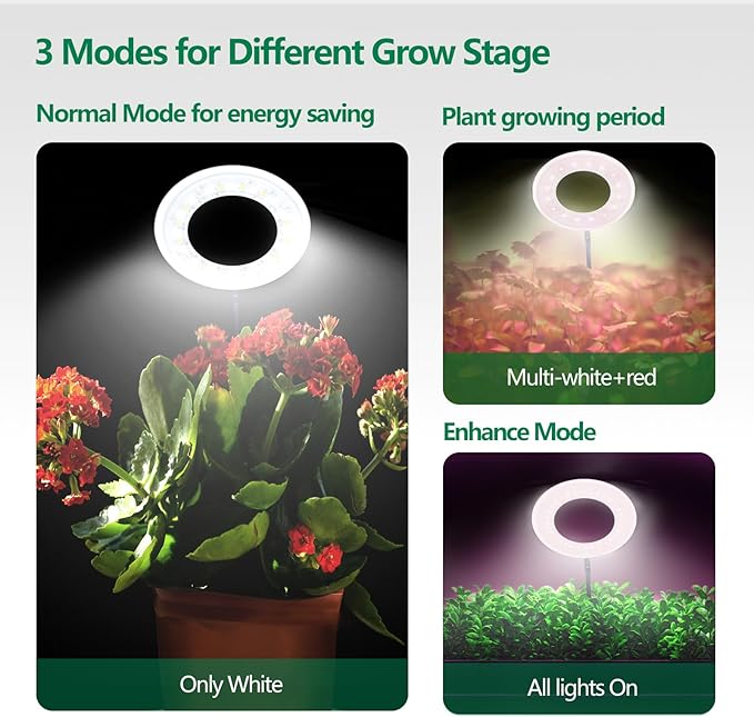 WaterRebirth 3.5 inch Grow Lights for Indoor Plants,Large Plant Light with 3 Timers, 10 Level Dimmable Brightness, Full Spectrum Plant Lamp, Height Adjustable for Tall Plants