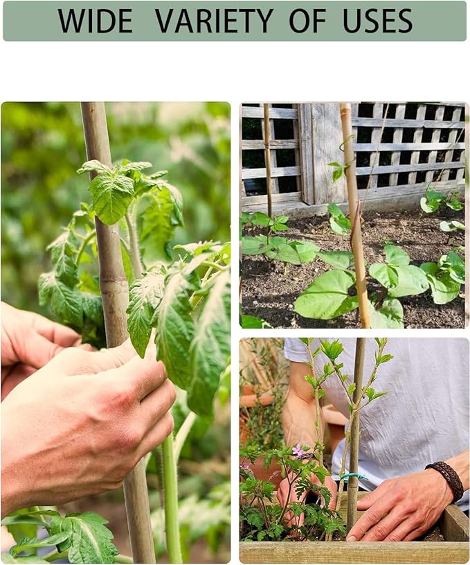 60 Pack 58 inch Bamboo Stakes for Plant with 200 Twist Ties Bamboo Sticks Plant Support Garden Stakes Poles for Tomatoes Cucumber Grapes Pole Beans Trees Potted Dahlia Flowers