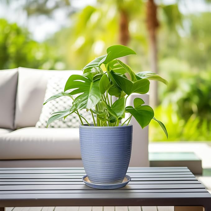 EEPFamily 8 Inch Plant Pot- Ceramic Planter for Indoor Outdoor with Drainage Hole and Plant Tray, Modern Round Porch Home Office Garden Living Room Decor, House Warming Gifts, Blue-Purple