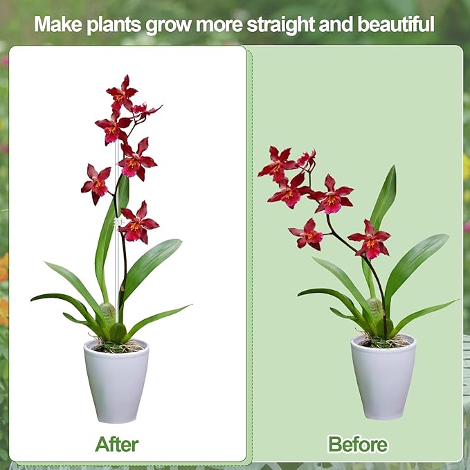 30 Pcs Plant Stakes Orchid Stakes 16Inch & 11Inch Clear Acrylic Plant Sticks Plastic Plant Support Stakes for Indoor Outdoor Garden with 30 Plant Clips for Potted Plants Vegetables Flowers