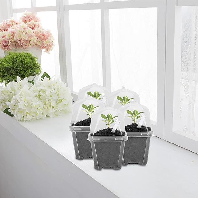 EBaokuup 50 Pcs Clear Plant Nursery Pots with Humidity Dome-3" Reusable Plastic Gardening Pot with Labels-Small Seed Starting Pots for Seedlings,Vegetables,Succulents,Cuttings