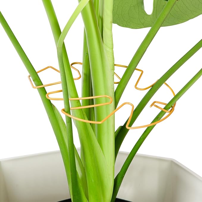 10PCS Iron Monstera Plant Support, Uniquely Designed Indoor Plant Accessories, Stable Plant Support Stakes for Indoor Plant, Turtle Shell Bamboo Clamp Set for Thriving Growth