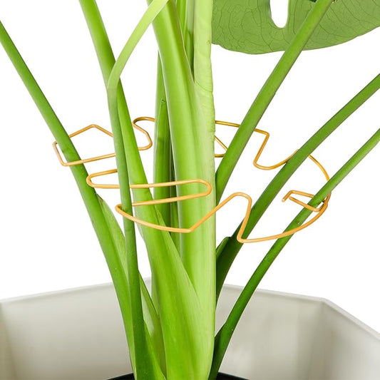10PCS Iron Monstera Plant Support, Uniquely Designed Indoor Plant Accessories, Stable Plant Support Stakes for Indoor Plant, Turtle Shell Bamboo Clamp Set for Thriving Growth