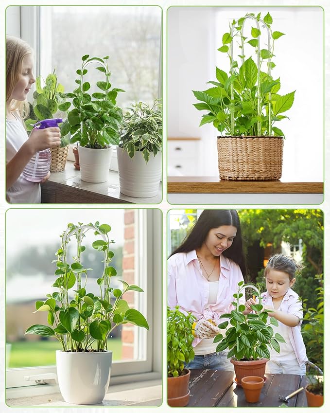 15.7" U-Shaped Clear Acrylic Trellis, 2 Pcs Indoor Plant Support with Twisted Ties for Climbing Plants, Small Potted Houseplant Trellis for Hoya, Pothos, Monstera
