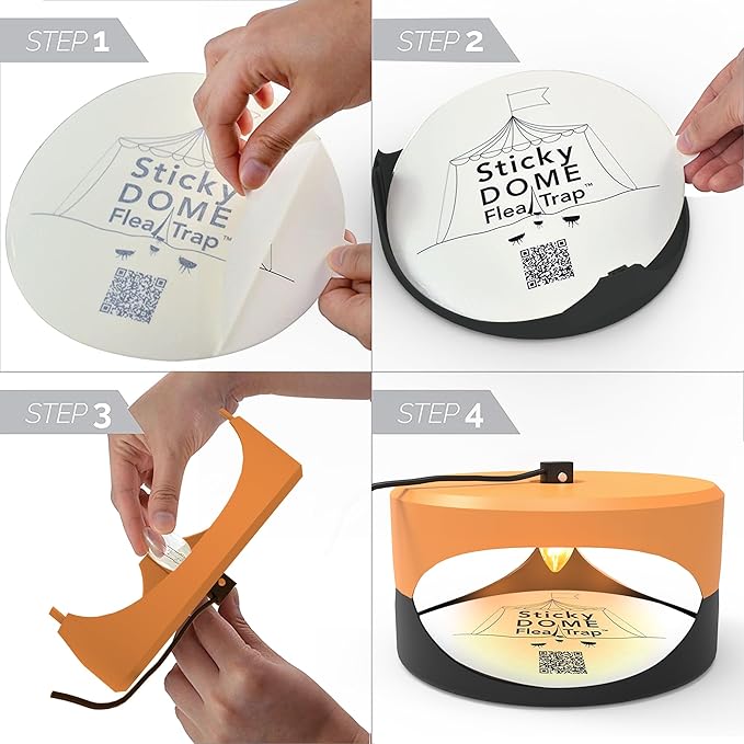 ASPECTEK Sticky Dome Flea Trap, Odorless Glue Trap with 2 Sticky Discs, Effective Bed Bug Killer and Flea and Tick Treatment, Indoor Insect Trap for Bugs, 1 Pack in Orange and Dark Gray